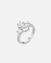 Tetra Ring